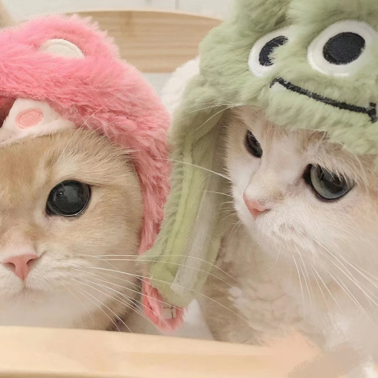 🐵色色APP应用