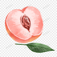 第一视角性爱视频APP应用
